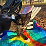kitten, cat, black_cat, white_paws, whiskers, green_eyes, tie_dye_blanket, picnic, backpack, canvases, art_supplies, park, trees, sunlight, outdoor, playful, paw, fur, closeup, pet