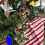 animal, cat, christmas_lights, christmas_tree, closeup, curious, decorations, feline, festive, greenery, holiday, indoor, kitten, natural_light, paws, pet, playful, striped_tablecloth, whiskers, window