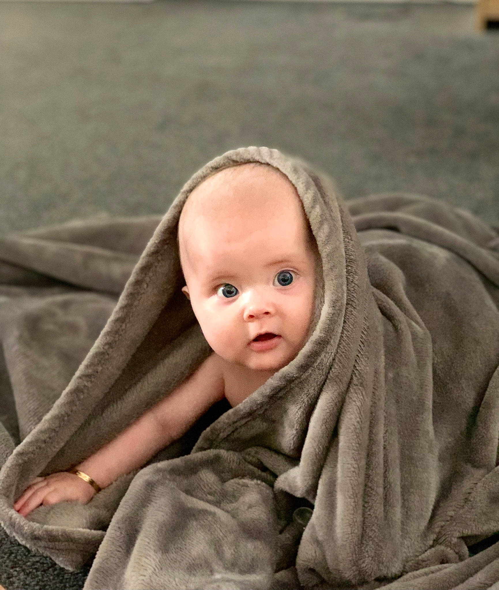 Lili joined the competition — help win amazing prizes! baby, baby_toddler_clothing, cheek, child, comfort, eyebrow, fur, grey, linens, lip, mammal, monochrome, outerwear, person, portrait_photography, sitting, skin, sleeve, surprise, toddler