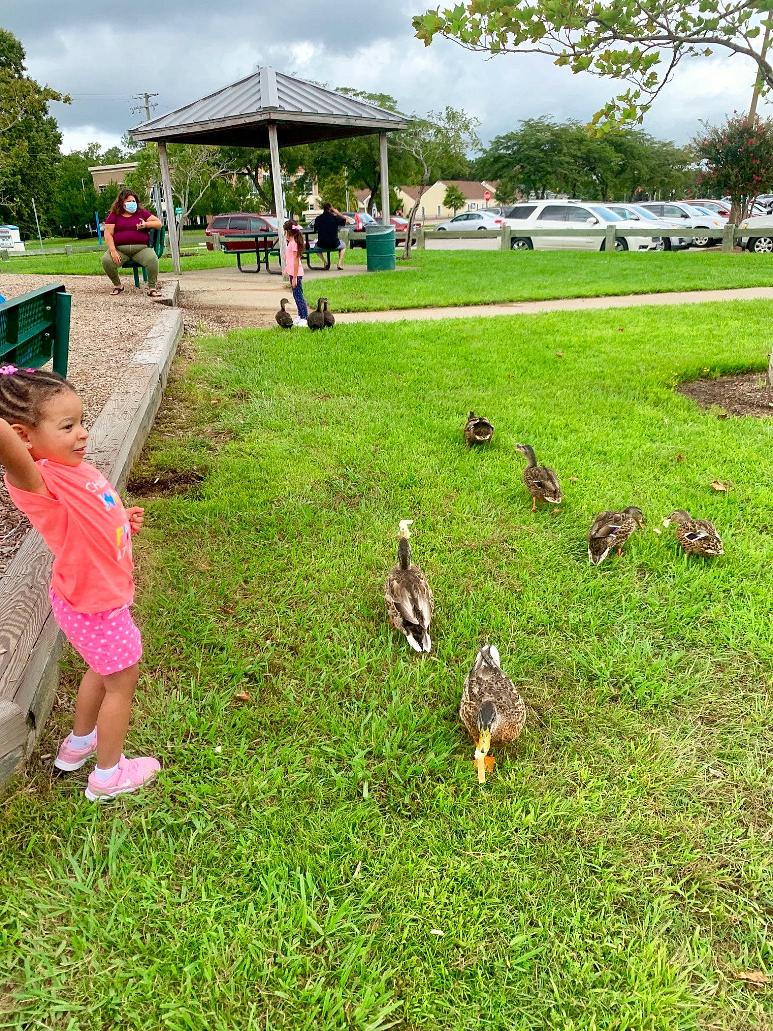 Ruby Rose is registered to the contest to win money with this photo: _geese_and_swans, bird, child, duck, ducks, farm, grass, grass_family, grassland, green, lawn, park, pasture, person, plant, recreation, summer, toddler, tourism, tree
