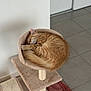 Moka participe au concours pour gagner de l'argent avec cette photo : cat, sleeping, orange_tabby, cat_tree, cozy, feline, pet, indoor, fur, resting, cute, curled_up, animal, peaceful, soft_light, home, floor_tiles, cat_bed, relaxed, whiskers