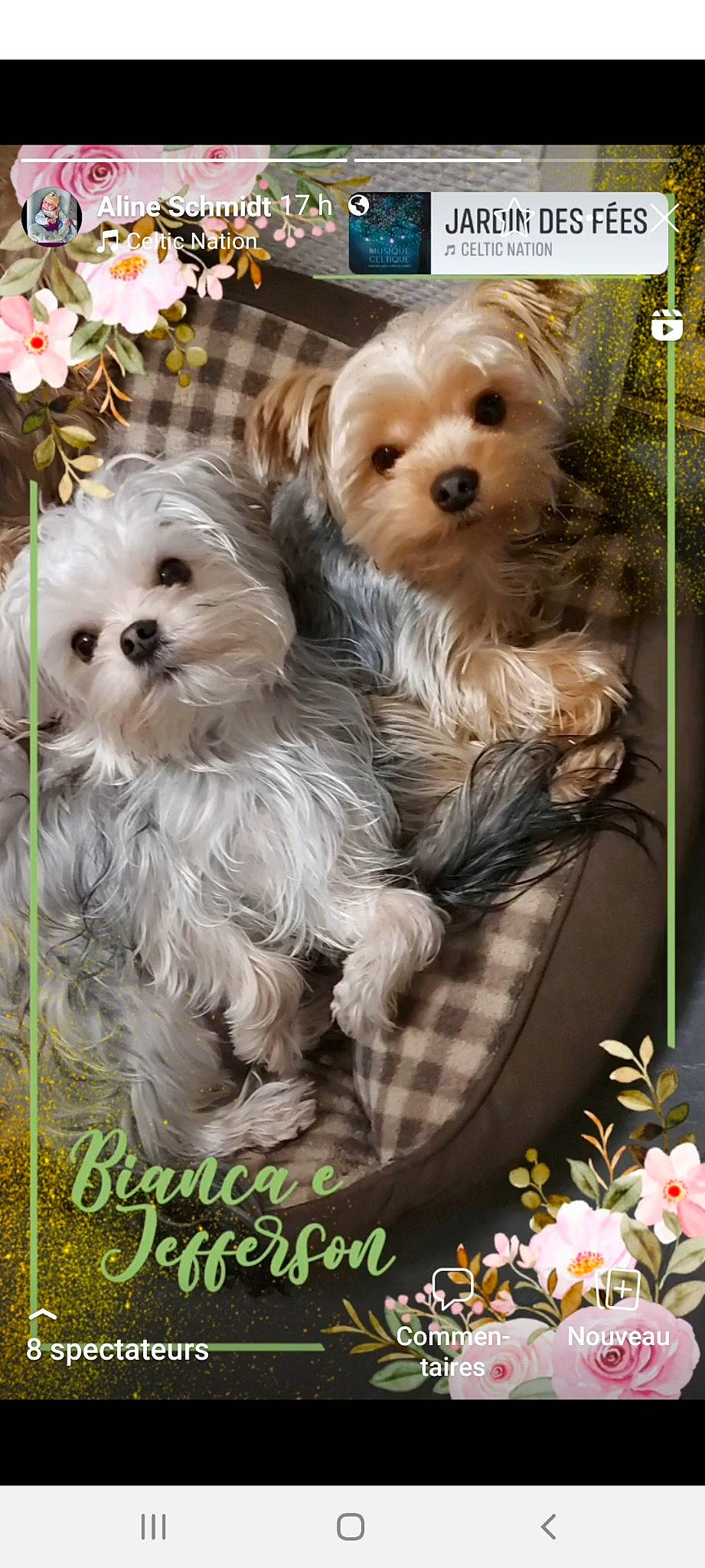 Ulysse Et Gus