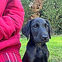 Peggy joined the competition — help win amazing prizes! animal, black_dog, casual_clothing, companion, cute, dog, fur, garden, grass, hedge, nature, outdoor, person, pet, plaid_pants, puppy, red_sweatshirt, sitting, sunlight, young_dog