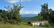 Roxie is registered to the contest to win money with this photo: dog, german_shepherd, animal, pet, outdoors, meadow, grass, countryside, rural, landscape, mountains, hills, trees, blue_sky, clouds, sunlight, farmhouse, building, nature, scenic