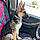 Roxie