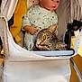 Siara a rejoint le concours — aidez-le/la à gagner de superbes lots ! baby_doll, cat, stroller, plush_toy, fabric, indoor, tabby_cat, onesie, toy, close_up, soft_toys, resting, cute, stuffed_animal, childcare, baby_accessory, pet, cozy, animal, relaxing