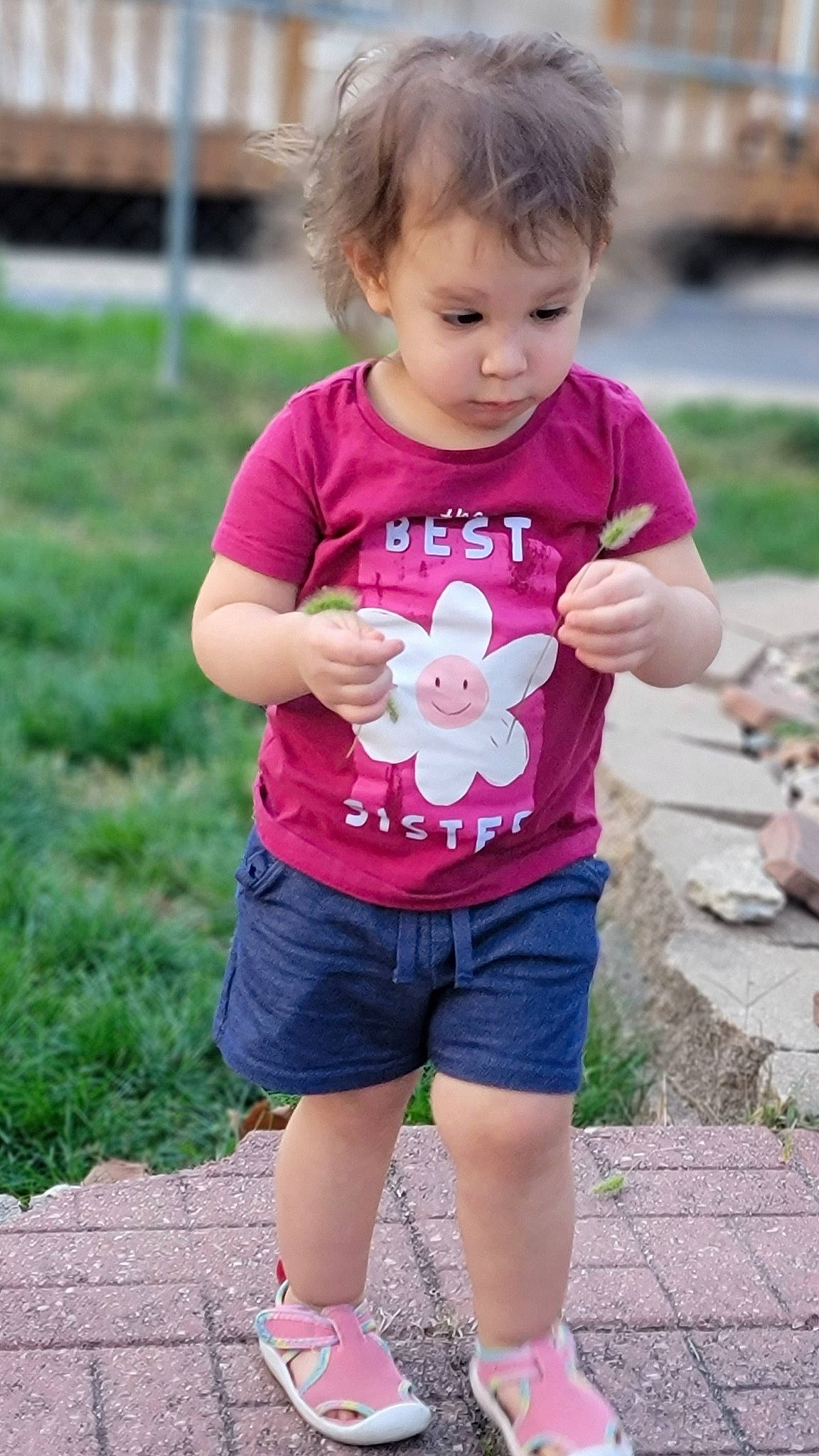 Leilani is registered to the contest to win money with this photo: baby_toddler_clothing, child, face, grass, hair, hairstyle, happy, leisure, magenta, person, photograph, pink, plant, purple, recreation, shorts, sleeve, snapshot, summer, t_shirt