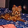 Littleman