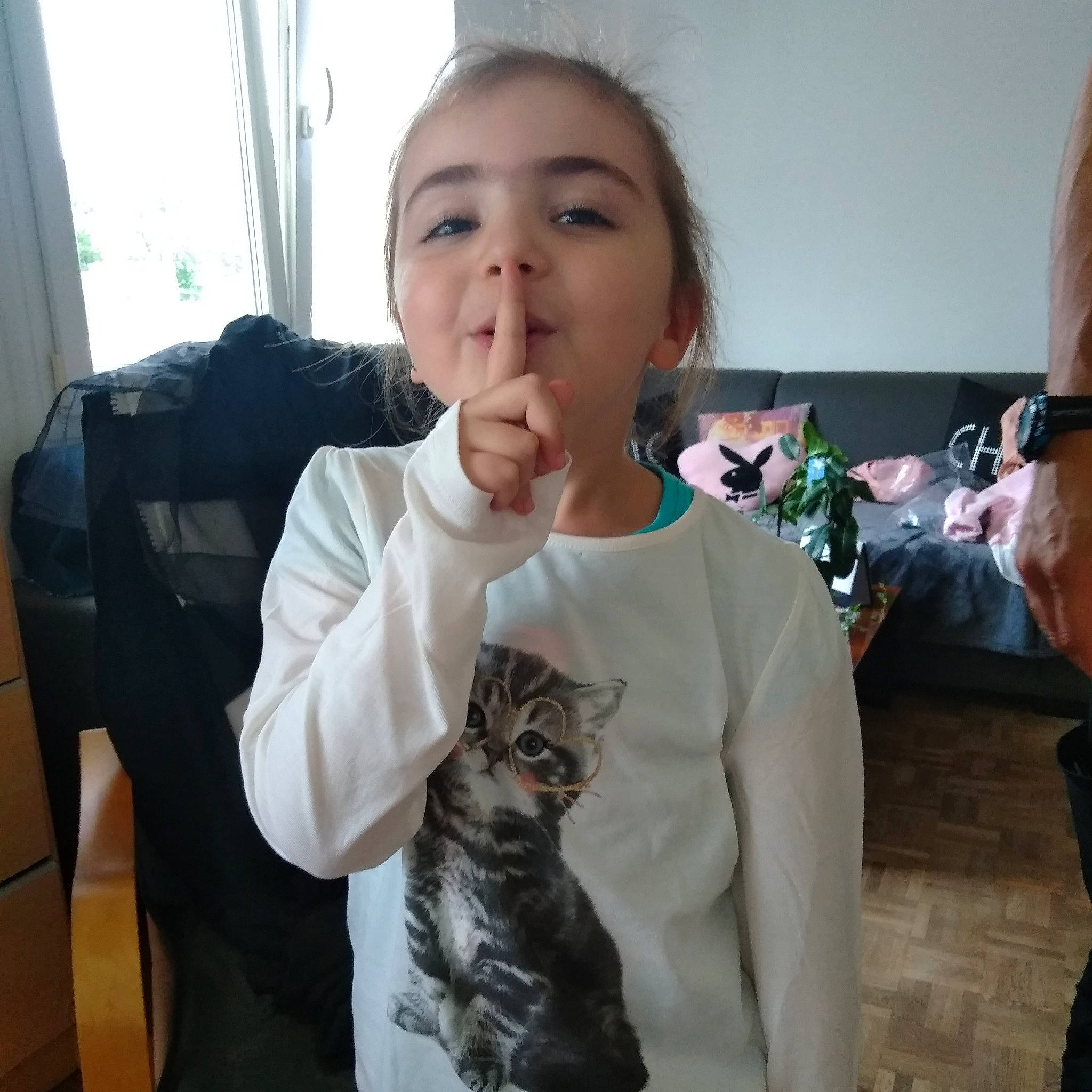 Louna participe au concours pour gagner de l'argent avec cette photo : american_curl, american_shorthair, asian, carnivore, cat, domestic_short_haired_cat, dragon_li, ear, european_shorthair, felidae, fur, german_rex, gesture, jaw, nose, person, pixie_bob, russian_blue, selfie, small_to_medium_sized_cats