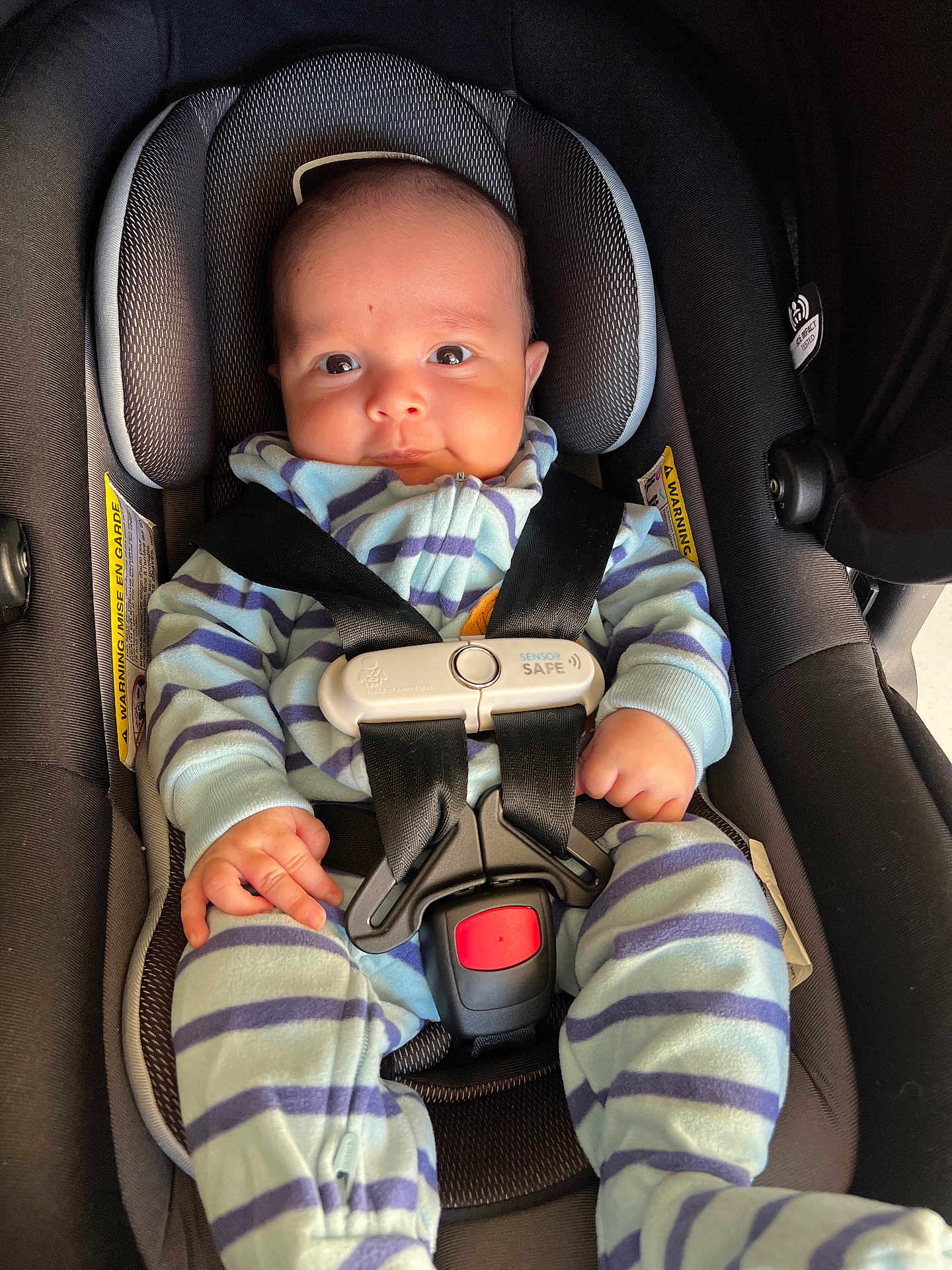 Eder joined the competition — help win amazing prizes! baby, car_seat, child, infant, safety_harness, clothing, striped_onesie, seatbelt, cute, portrait, indoor, person, child_seat, baby_boy, secure, small_hands, headrest, fabric, soft_lighting, car_interior