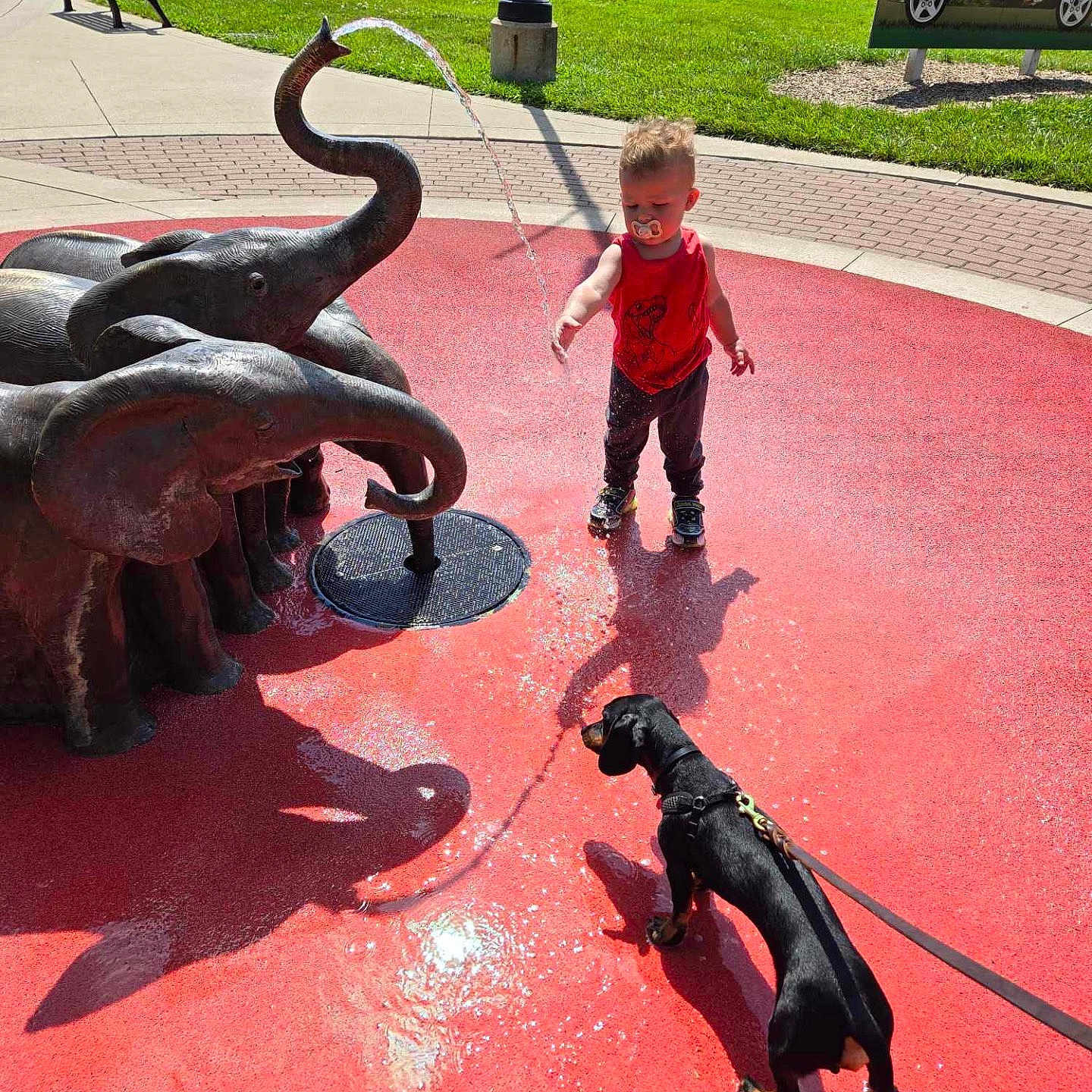 Silas joined the competition — help win amazing prizes! animal, architecture, boy, canine, child, dog, face, fountain, grass, head, male, nature, outdoors, park, person, pet, photography, plant, portrait, water