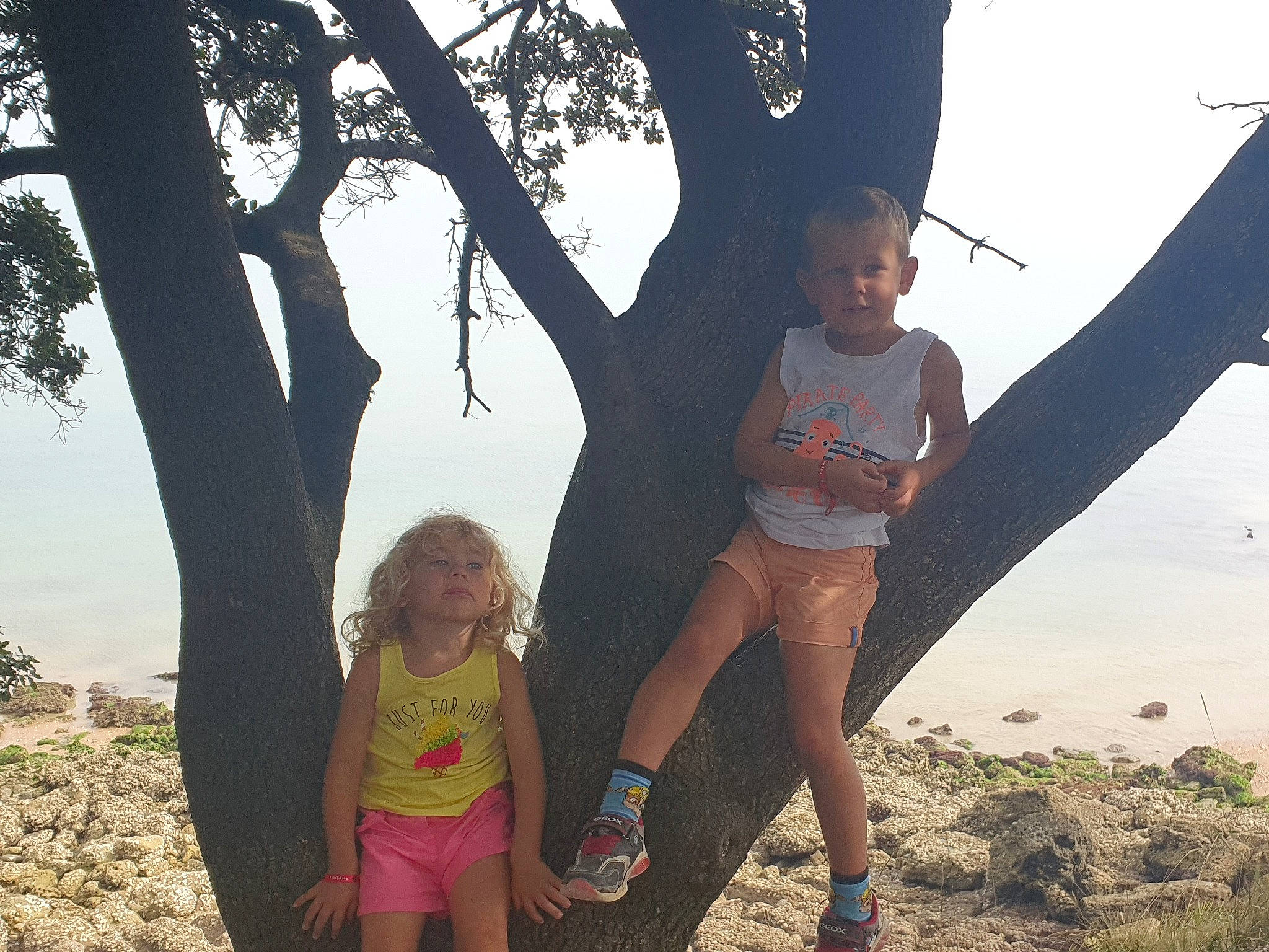 Louise a rejoint le concours — aidez-le/la à gagner de superbes lots ! branch, child, fun, gesture, grass, happy, human_body, leg, leisure, people_in_nature, person, plant, shorts, sky, swimwear, thigh, toddler, travel, tree, water