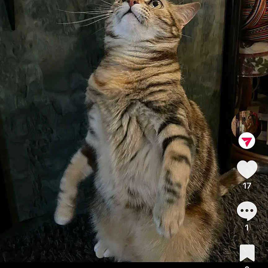 Bianca