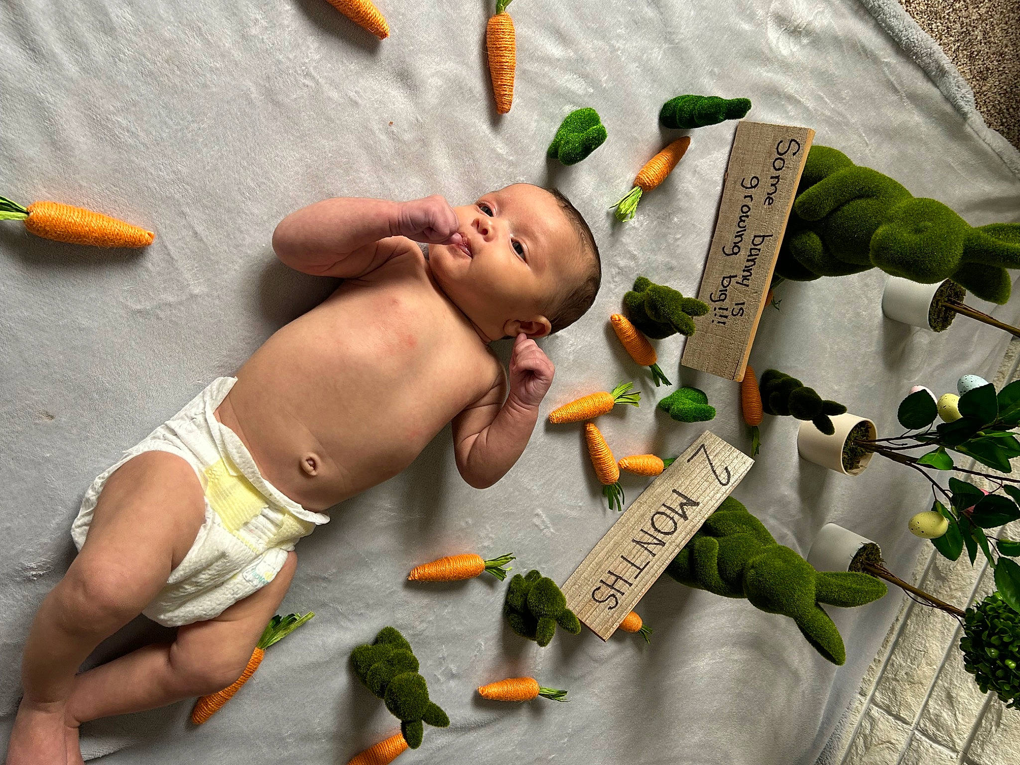 Avianna joined the competition — help win amazing prizes! abdomen, adaptation, baby, barechested, chest, child, floral_design, flower_arranging, font, herb, leisure, natural_foods, navel, organism, person, plant, play, swimwear, thigh, toddler