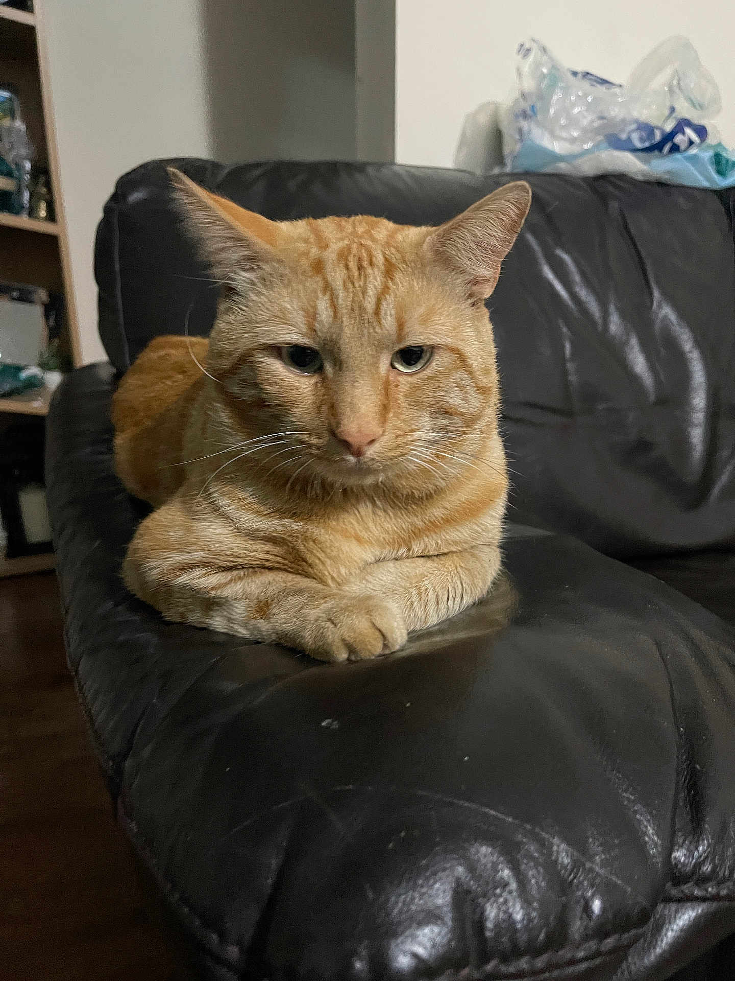 Tom