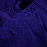 Jack Jack is registered to the contest to win money with this photo: cat, blanket, hand, sleeping, indoor, cozy, dim_light, pattern, comfort, resting, pet, animal, fur, domestic, bed, soft, quiet, purple_tint, night, relaxation