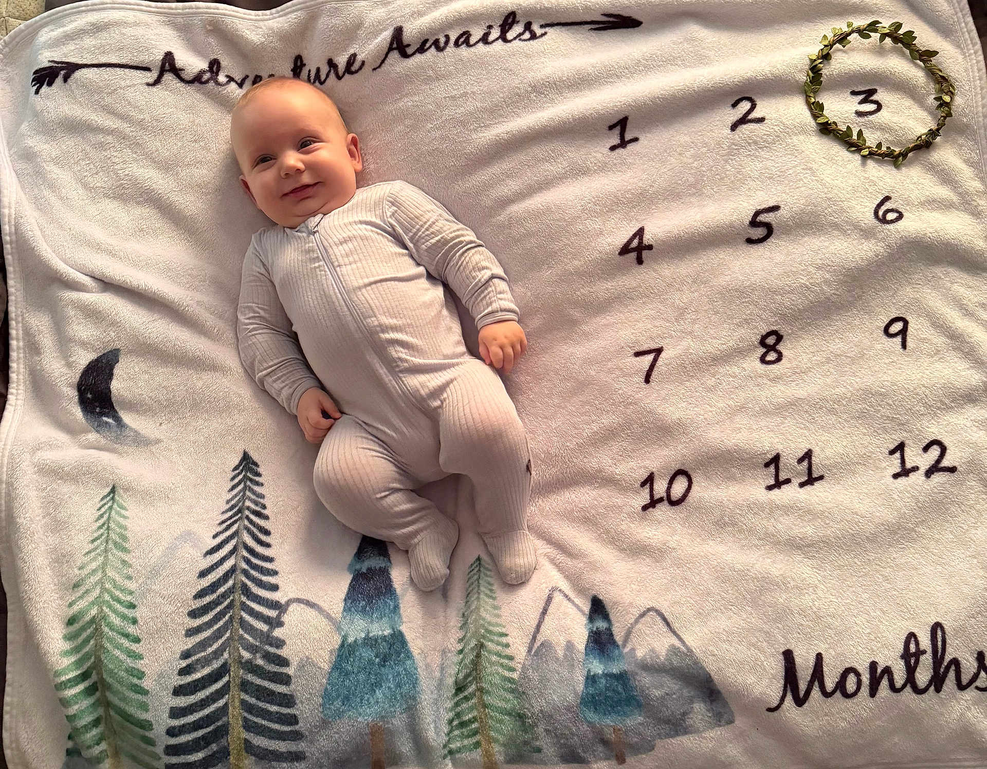 Winston joined the competition — help win amazing prizes! baby, infant, onesie, smile, milestone_blanket, numbers, wreath, months, trees, mountains, moon, cozy, lying_down, celebration, cute, soft_texture, white_clothing, happy, child, portrait