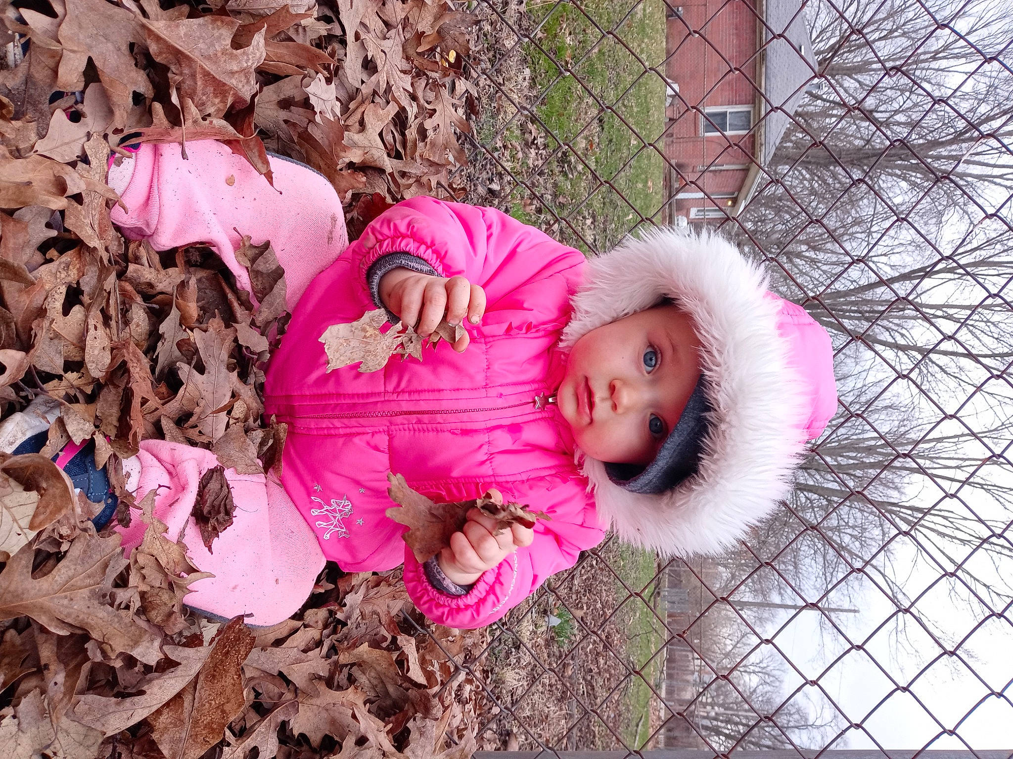 Izzy is registered to the contest to win money with this photo: baby_toddler_clothing, beauty, child, face, fun, fur, grass, happy, headwear, magenta, mammal, pattern, people_in_nature, person, petal, pink, plant, purple, soil, toddler