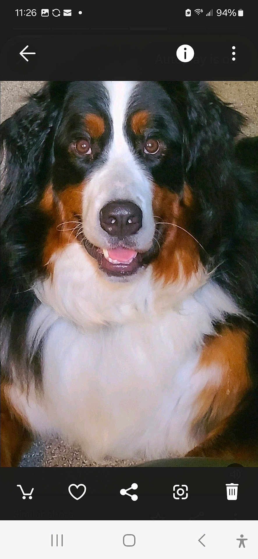 Benny