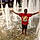 Lacedrick M. M. L.
