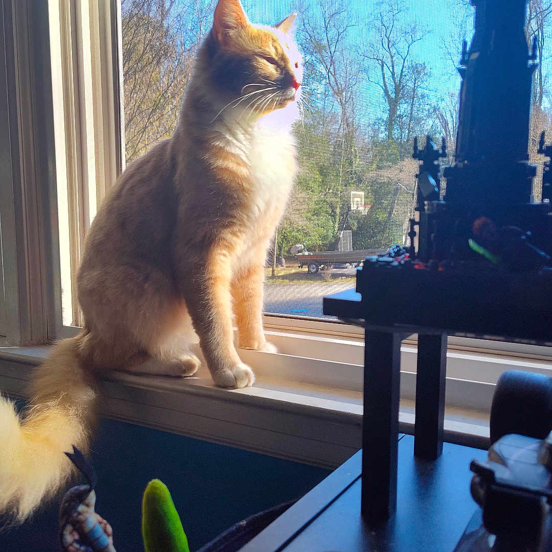 Yoshi joined the competition — help win amazing prizes! cat, orange_cat, windowsill, sunlight, indoor, window, blue_sky, trees, toy, figurine, animal, pet, feline, sunny, daylight, household, looking_outside, tail, whiskers, domestic_cat