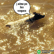 Heffy participe au concours pour gagner de l'argent avec cette photo :