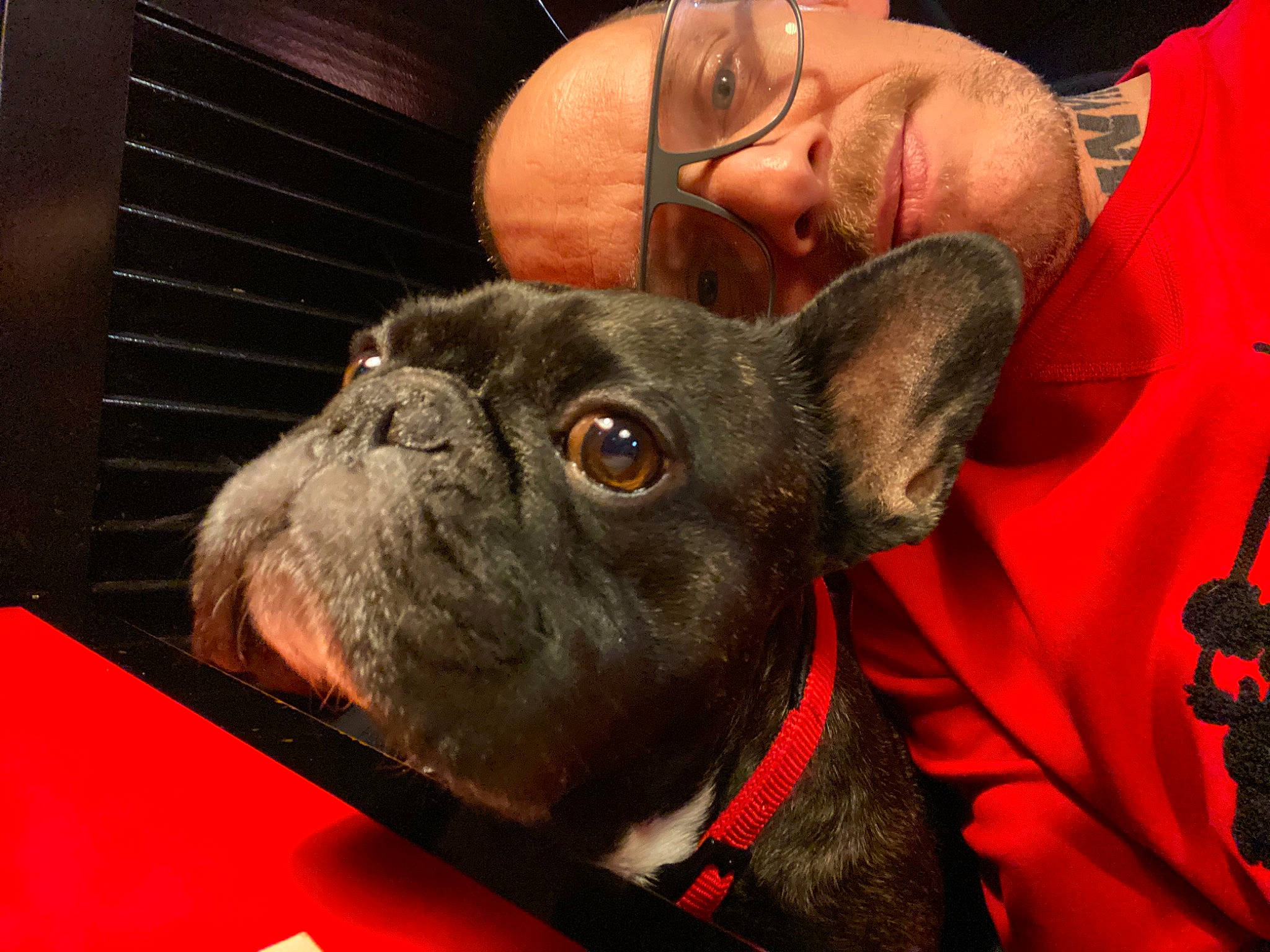 Doogy participe au concours pour gagner de l'argent avec cette photo : bulldog, canidae, carnivore, companion_dog, dog, dog_breed, ear, fawn, french_bulldog, mammal, non_sporting_group, puppy, skin, snout, toy_bulldog, vertebrate, whiskers, wrinkle