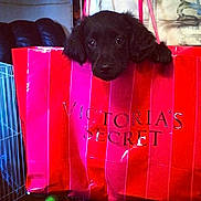 Holly joined the competition — help win amazing prizes!
