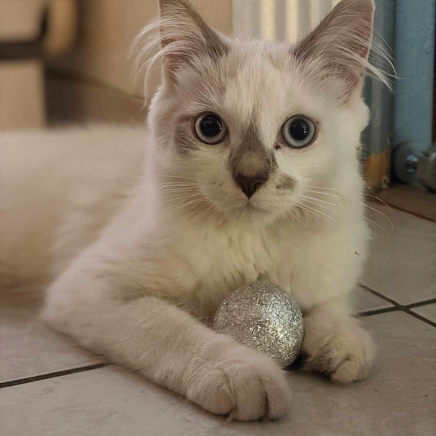 Yuki
