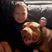 Freddo joined the competition — help win amazing prizes! boy, child, dog, pet, smiling, happy, couch, indoor, leather, furniture, portrait, brown_dog, light, cozy, companionship, friendship, childhood, casual, warm, playful