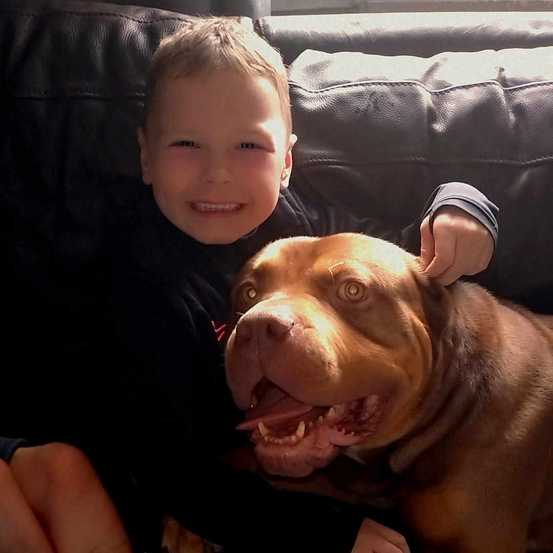 Freddo joined the competition — help win amazing prizes! boy, brown_dog, casual, child, childhood, companionship, couch, cozy, dog, friendship, furniture, happy, indoor, leather, light, pet, playful, portrait, smiling, warm
