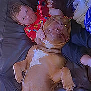 Freddo is registered to the contest to win money with this photo: child, dog, couch, red_phone, smiling, relaxing, playful, brown_dog, happy, indoor, pet, person, casual, funny_expression, home, leather_couch, blanket, resting, cute, companionship