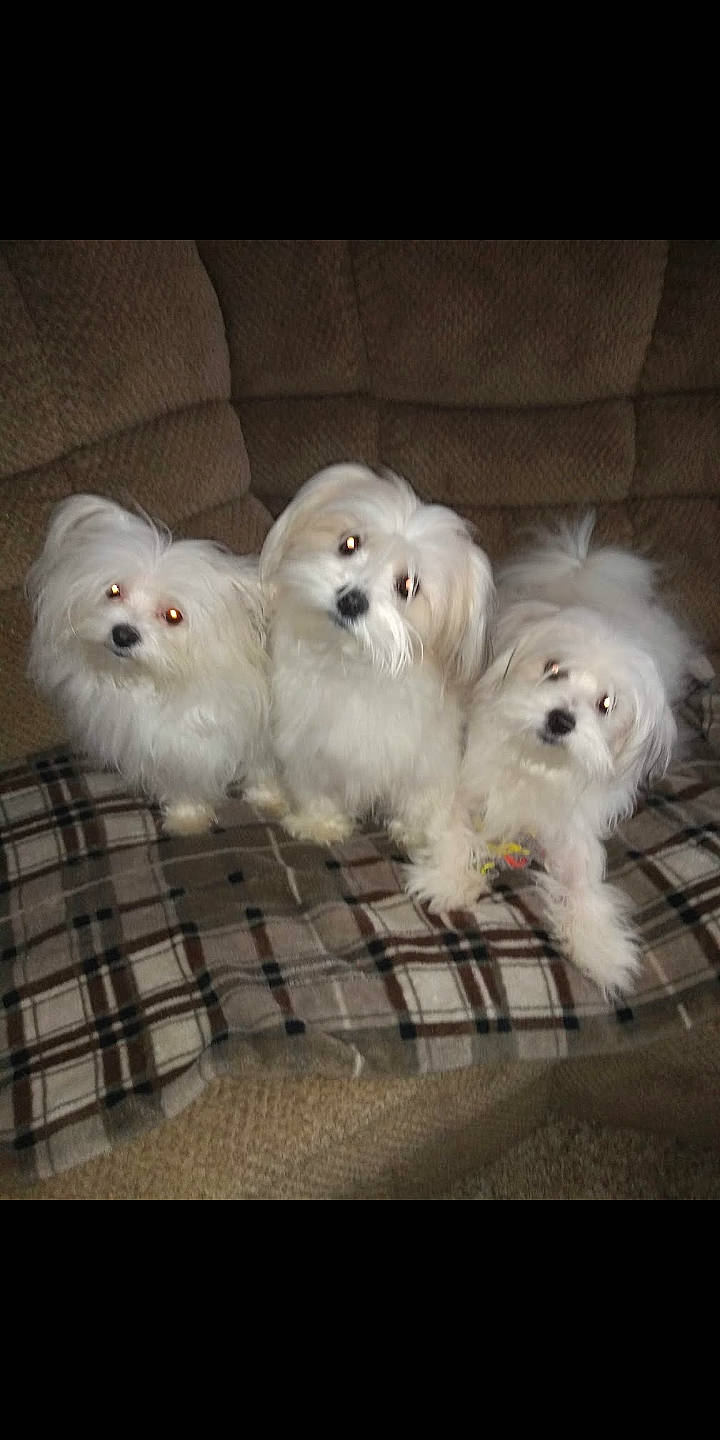 Precious . Casper Roxy