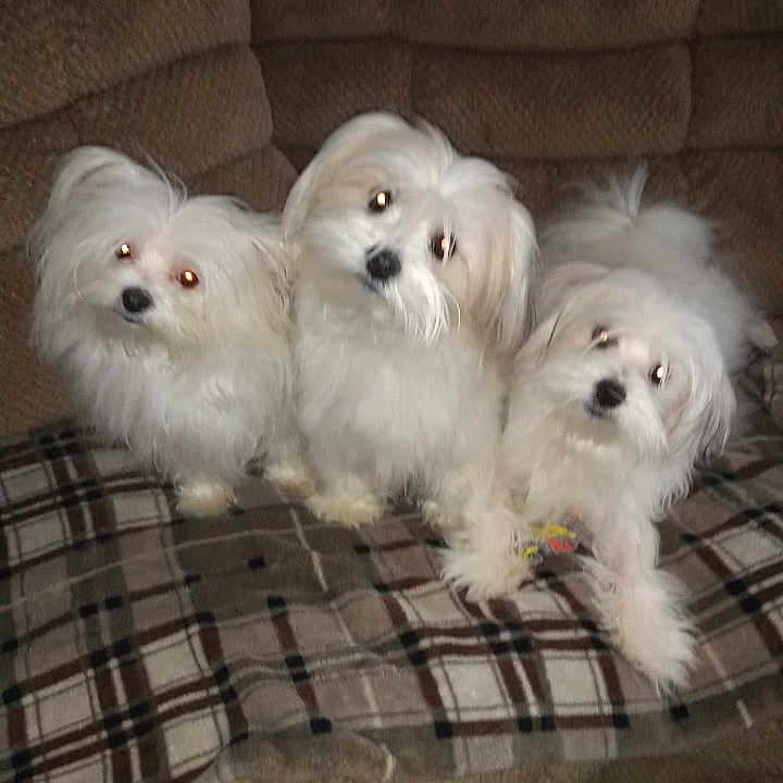 Precious . Casper Roxy