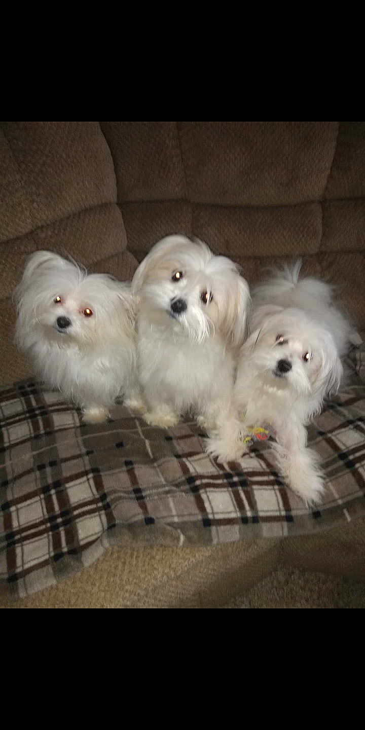 Precious . Casper Roxy