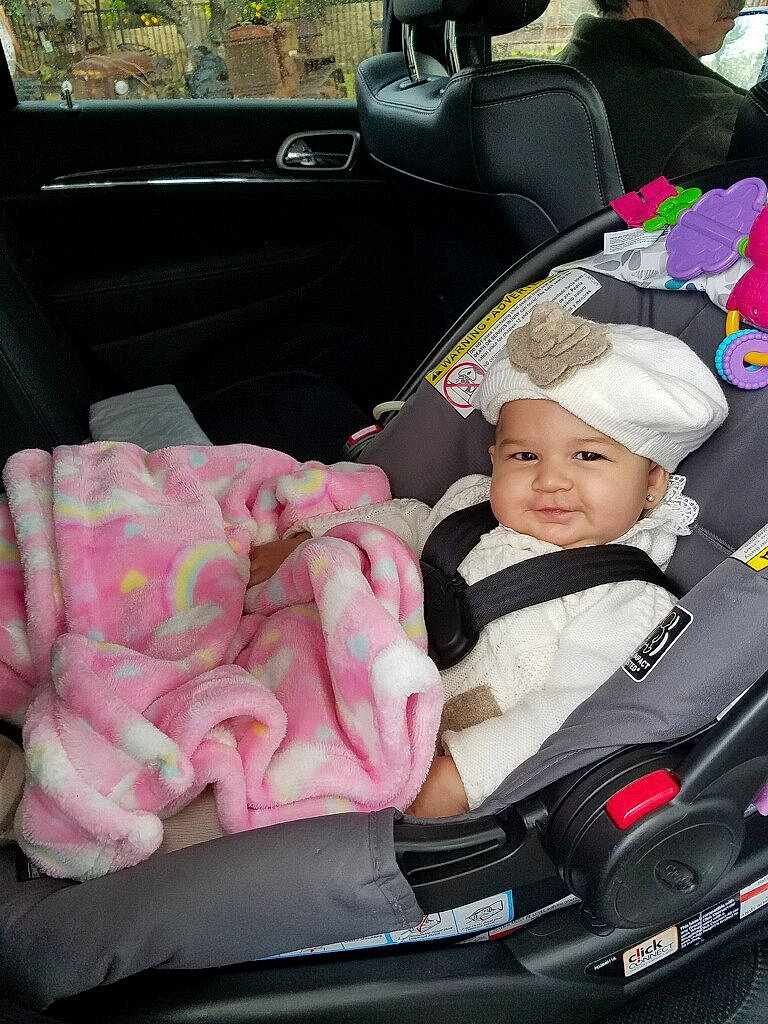 Lluvia joined the competition — help win amazing prizes! auto_part, baby, baby_carriage, baby_in_car_seat, car, car_seat, car_seat_cover, child, family_car, head_restraint, person, pink, plant, product, seat_belt, toddler, vacation, vehicle, vehicle_door