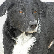 Goku a rejoint le concours — aidez-le/la à gagner de superbes lots !