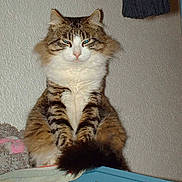 Racka participe au concours pour gagner de l'argent avec cette photo :