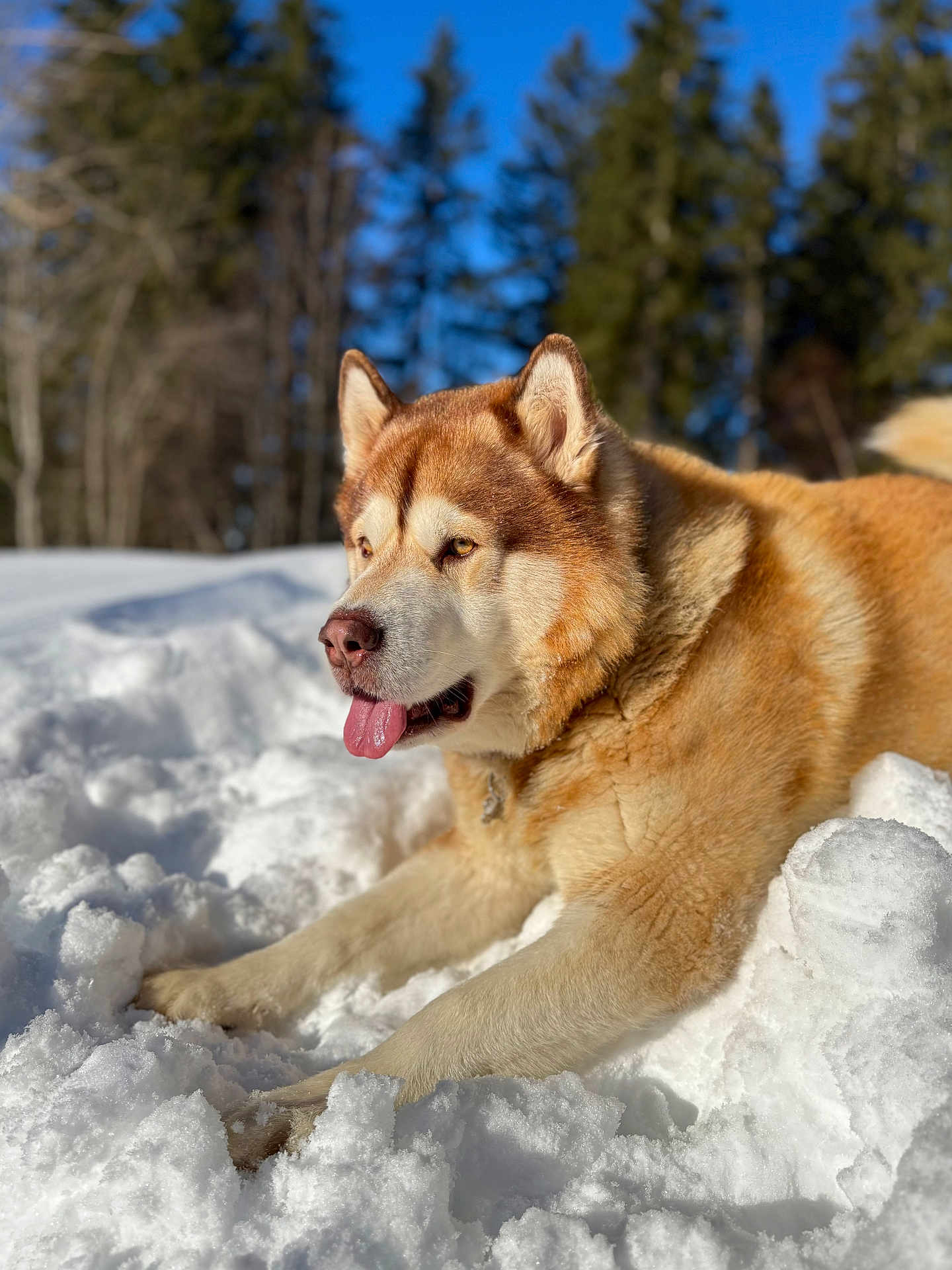 Snow