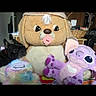 Diamant a rejoint le concours — aidez-le/la à gagner de superbes lots ! plush, stuffed_toy, teddy_bear, textile, toy