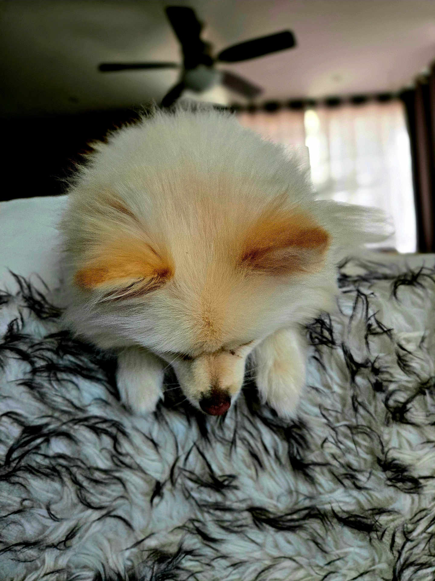 Fluffy