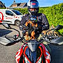 Bali participe au concours pour gagner de l'argent avec cette photo : motorcycle, dog, person, helmet, goggles, gloves, outdoor, vehicle, road, greenery, sunny, reflection, red, black, duccati, van, bench, jacket, pet, adventure