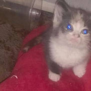 Willow is registered to the contest to win money with this photo: