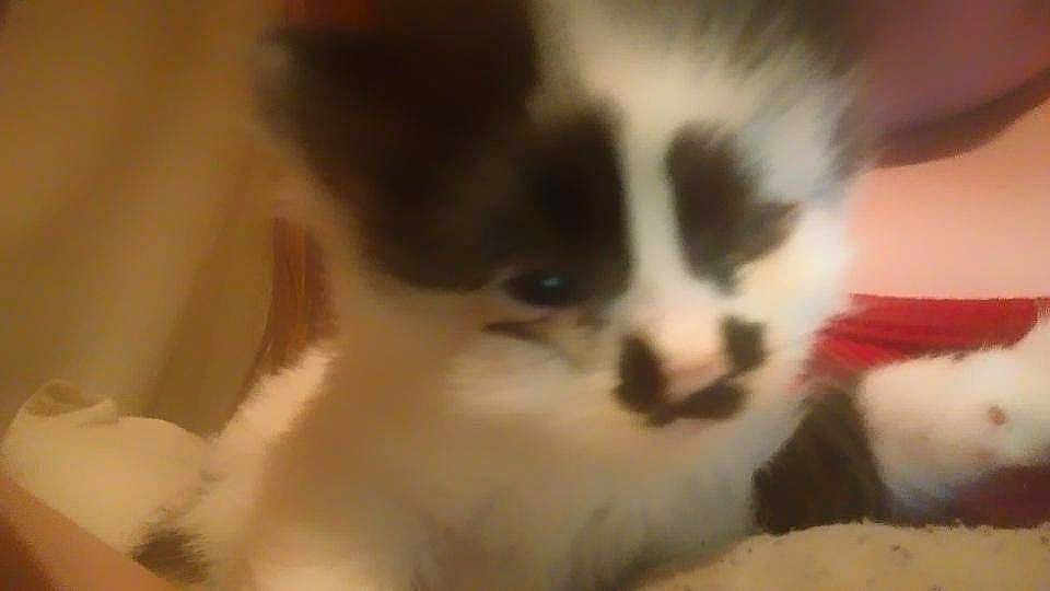Buster