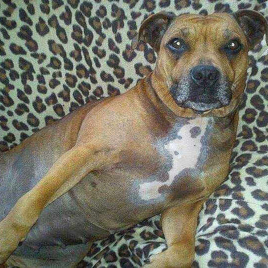 Ruby