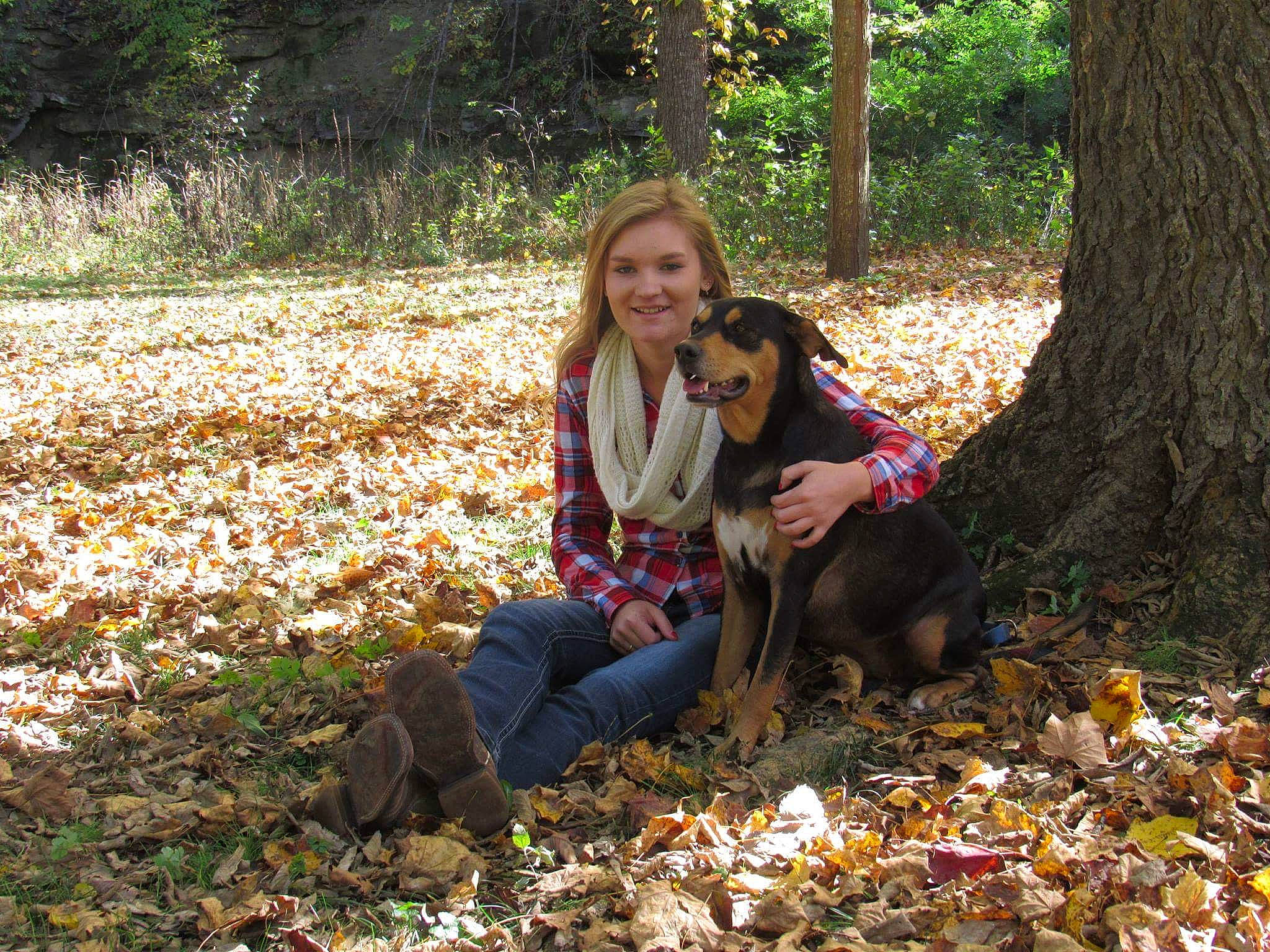 Sasha ?? is registered to the contest to win money with this photo: branch, carnivore, companion_dog, deciduous, dog, dog_breed, fawn, forest, grass, happy, leisure, natural_landscape, people_in_nature, plant, smile, sunlight, tree, trunk, wood, woodland