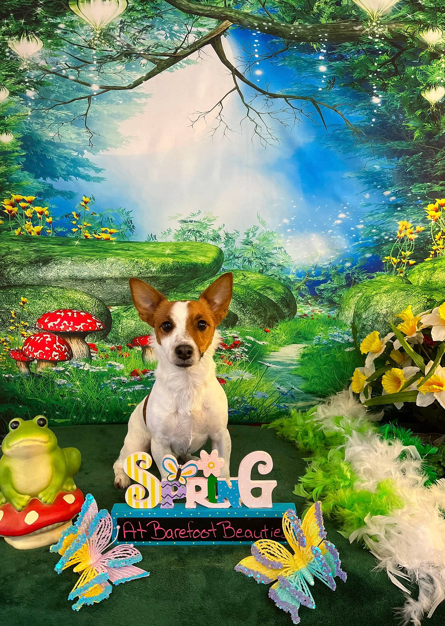 Jack is registered to the contest to win money with this photo: art, canidae, carnivore, companion_dog, dog, dog_breed, drawing, fawn, flower, grass, happy, illustration, landscape, natural_landscape, painting, people_in_nature, plant, sporting_group, terrier, toy_dog