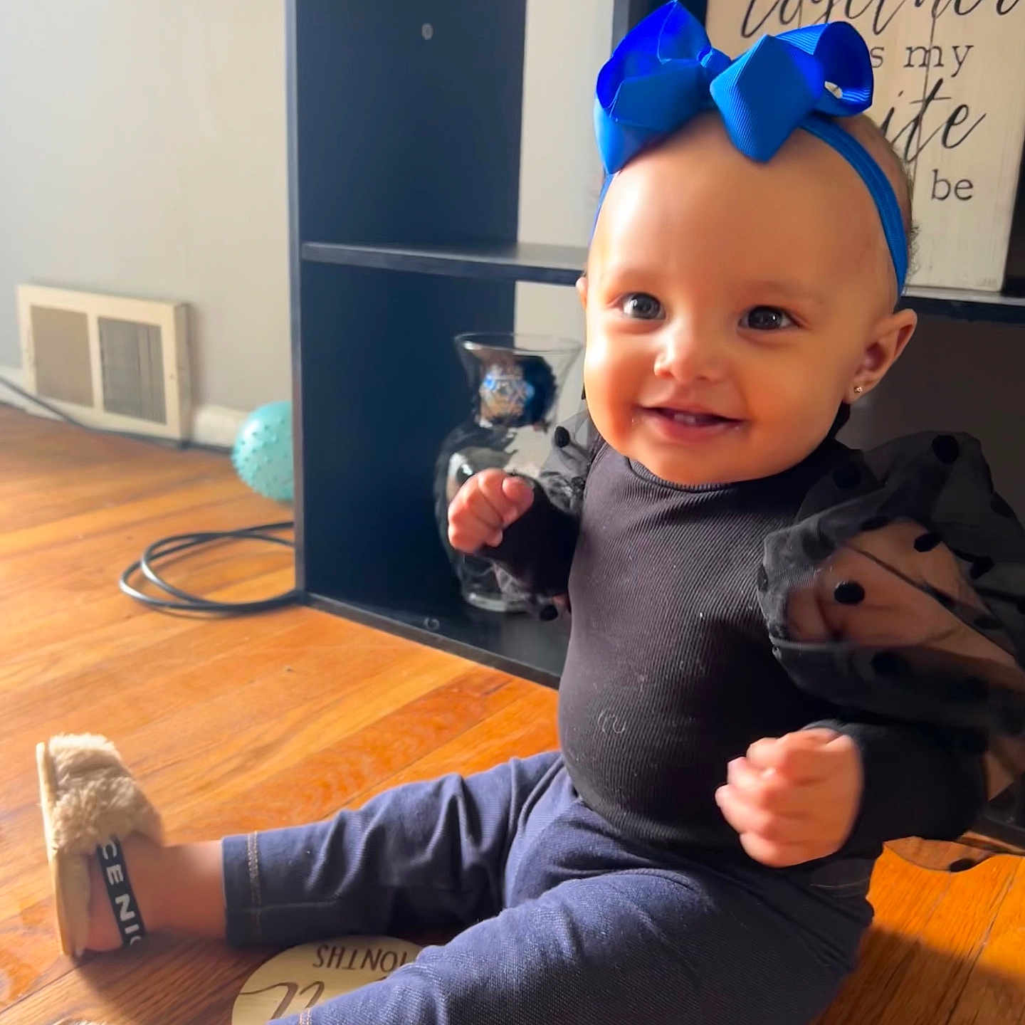 Arya joined the competition — help win amazing prizes! animal, baby, bodypart, canine, clothing, face, finger, footwear, hand, hardwood, head, indoors, interiordesign, pants, person, photography, portrait, shoe, sitting, wood