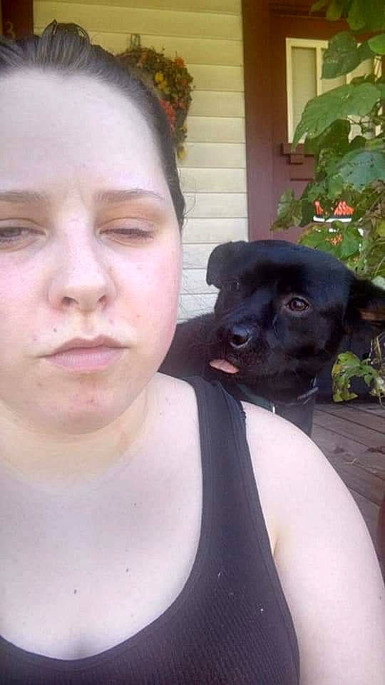 Boo joined the competition — help win amazing prizes! canidae, carnivore, companion_dog, dog, dog_breed, ear, fawn, nose, patterdale_terrier, puppy, selfie, snout, sporting_group