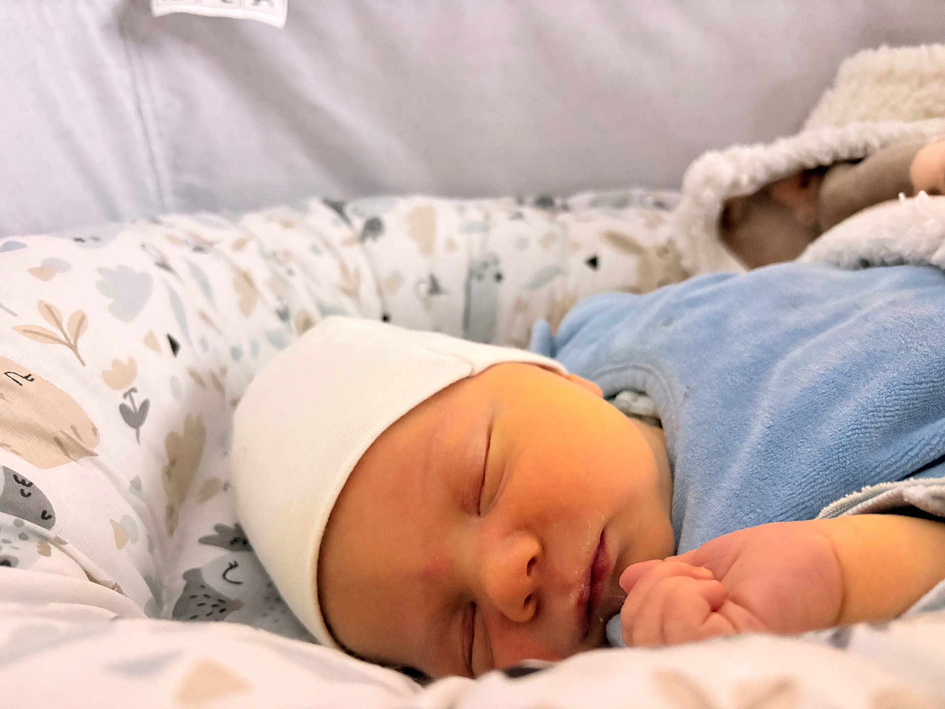 Elio a rejoint le concours — aidez-le/la à gagner de superbes lots ! baby, newborn, sleeping, infant, white_cap, blue_outfit, hand, face, closed_eyes, blanket, soft, cozy, patterned, nest, peaceful, indoors, cute, portrait, rest, child